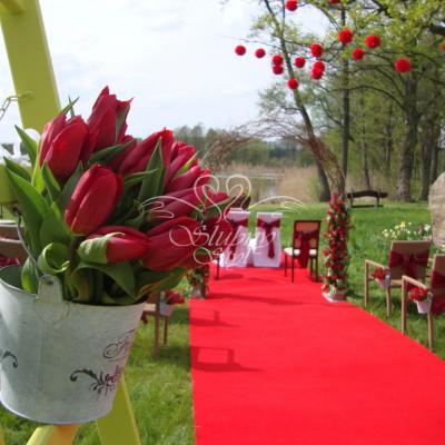 Dekoracja ślubu cywilnego tulipanami