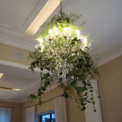 Przystrojenie żyrandola bluszczem i asparagusem plumosusem 