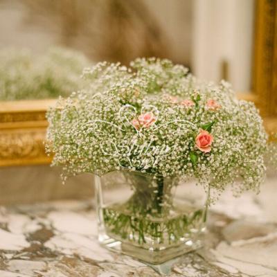 Gipsówka i różyczki gałązkowe 