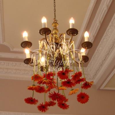 Dekoracja żyrandola żywymi gerberami