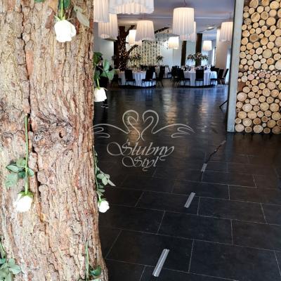 Dekoracja drzewa żywymi różami