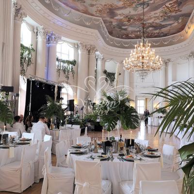 Liście monstera na Zamku w Rydzynie