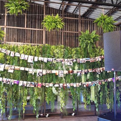 Ścianka ze zdjęciami na weselu