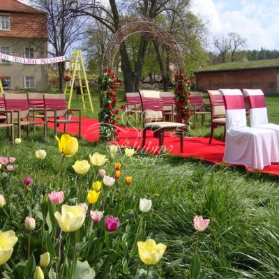 Uroczystość zaślubin nad jeziorem w Olandii