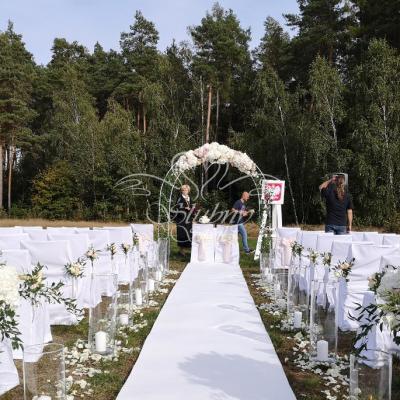 Szklane tuby z płatkami żywych róż wzdłuż dywanu