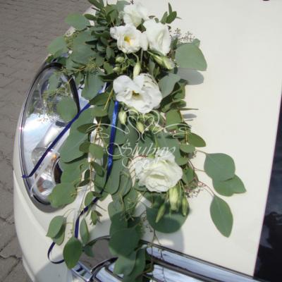 Zdobienie auta na ślub eukaliptusem i eustomą 