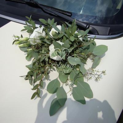 Eukaliptus w dekoracjach