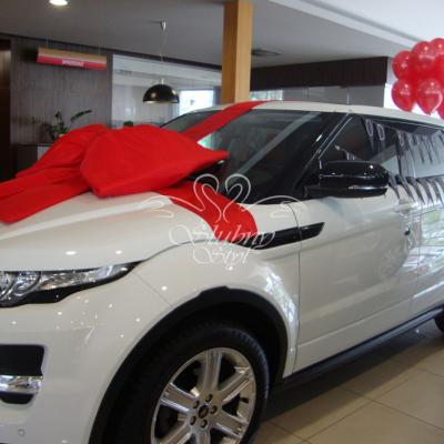 Duża kokarda na samochód - prezent 