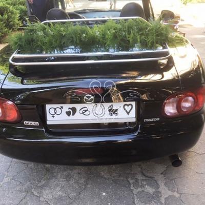 Dekoracja auta na ślub zielenią i gipsówką