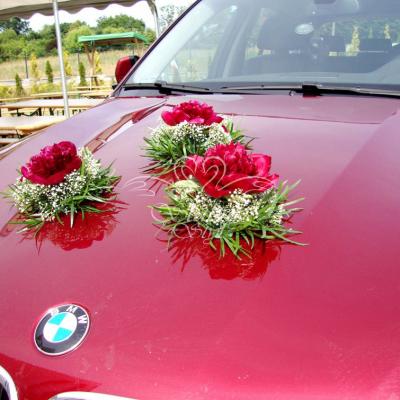 Dekoracja auta bordowymi piwoniami i gipsówką 