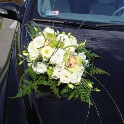 Kompozycja z pistacjowymi storczykami